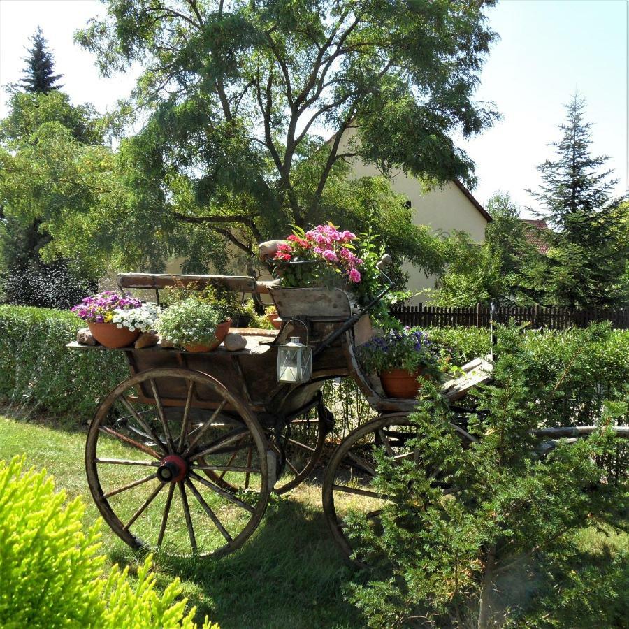 Herrenhaus Kunzwerda Bei Torgau - Aparthotel, Boardinghouse, Wohnen Auf Zeit Luaran gambar